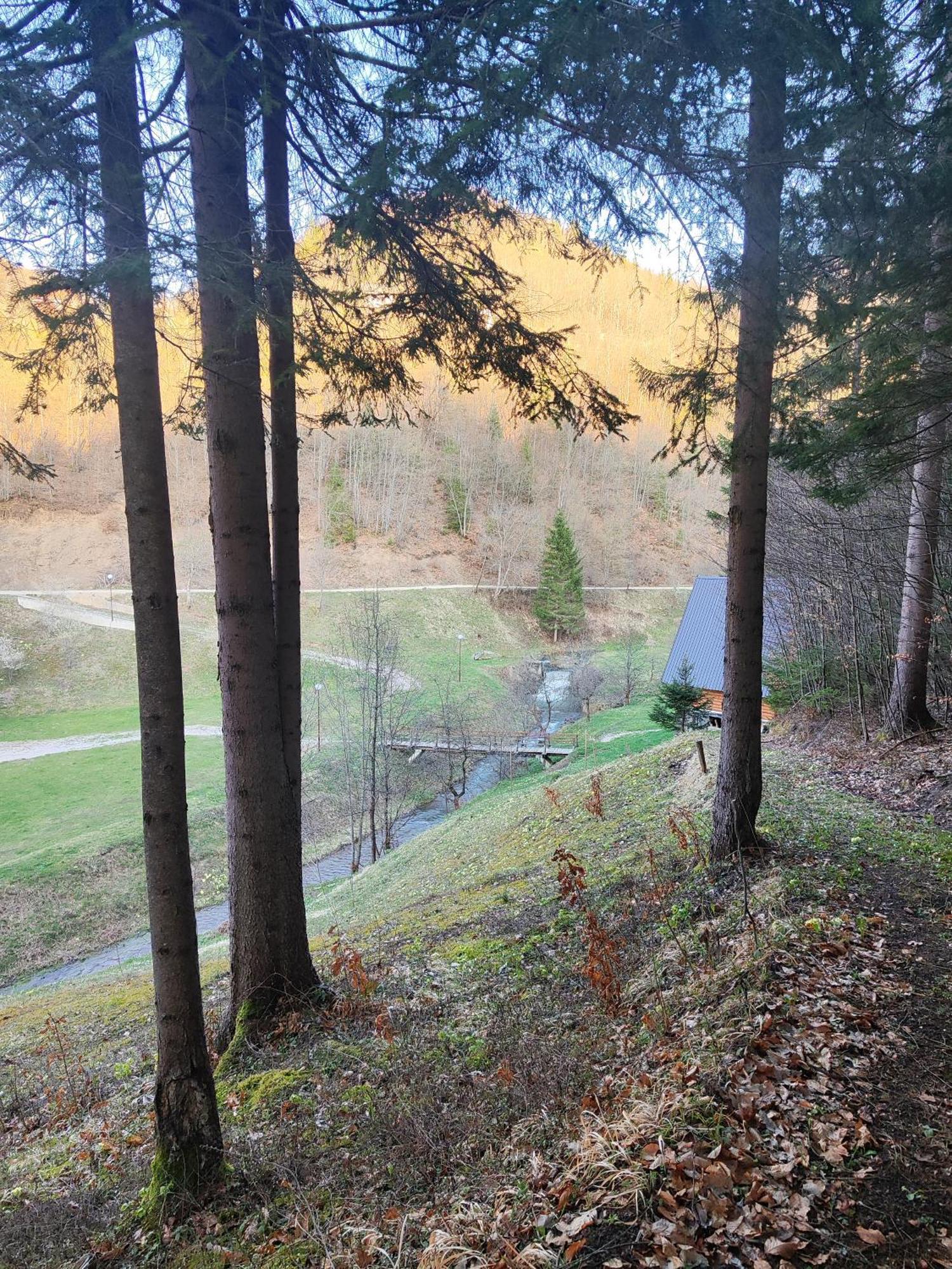 Bed and Breakfast Zlatarska Dolina Nova Varoš Exteriér fotografie